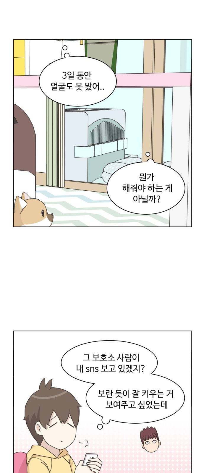 개를 낳았다 시즌2 11화 2