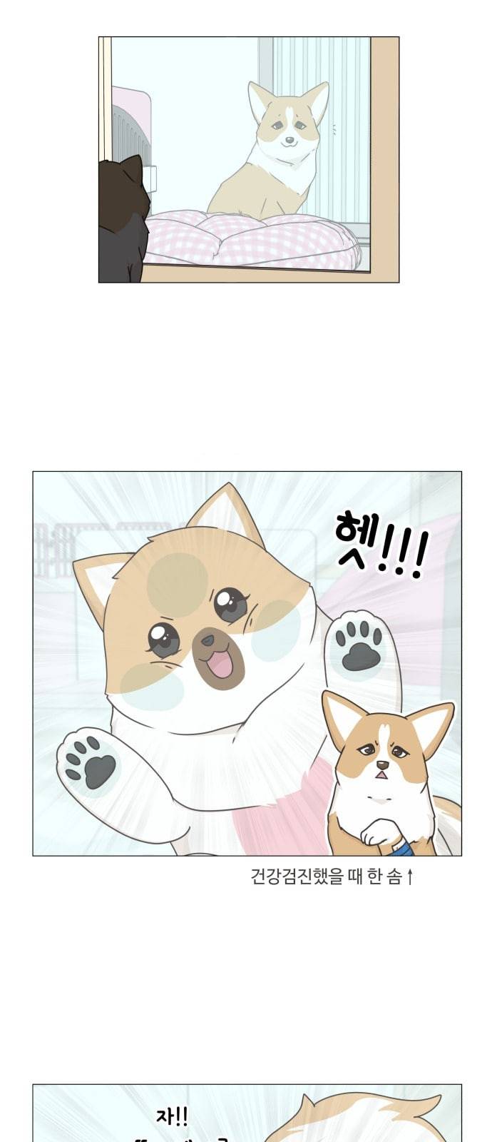 개를 낳았다 시즌2 11화 6