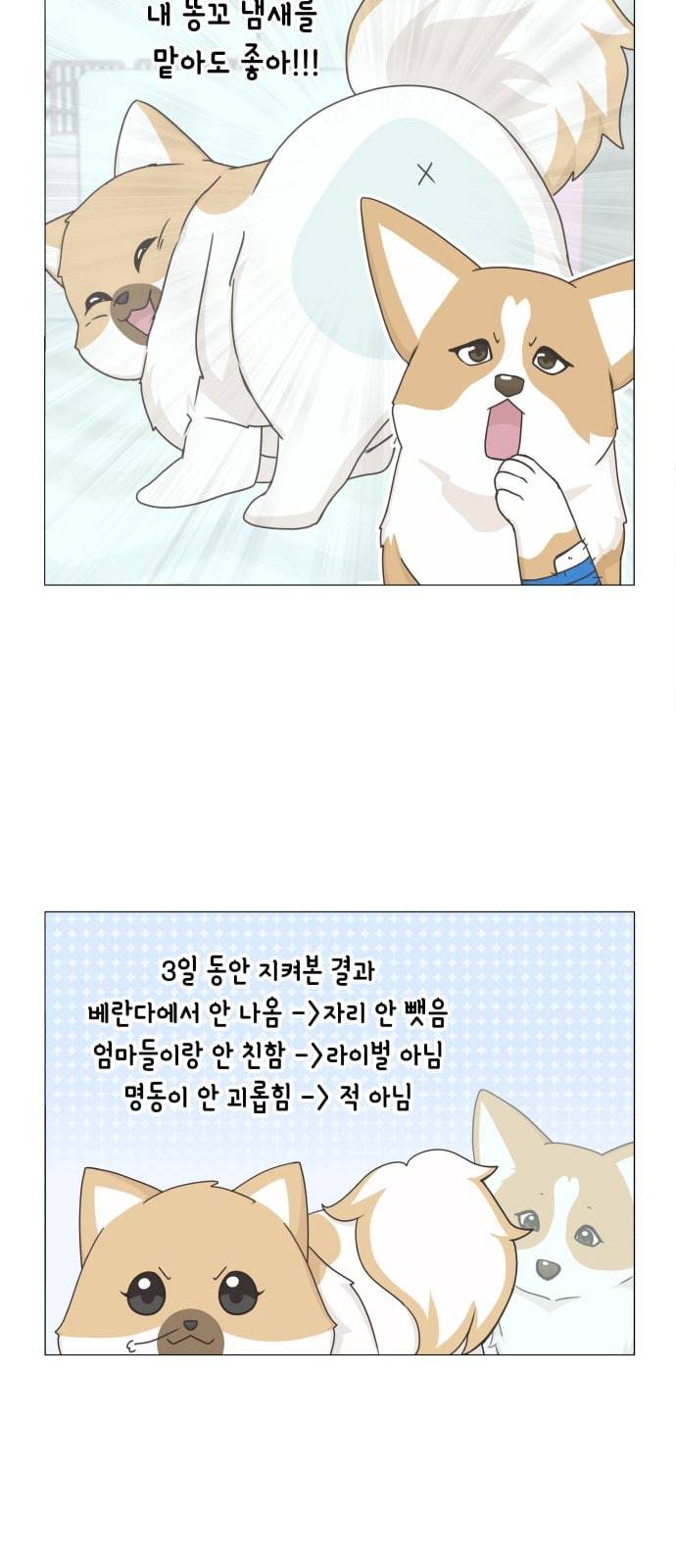 개를 낳았다 시즌2 11화 7