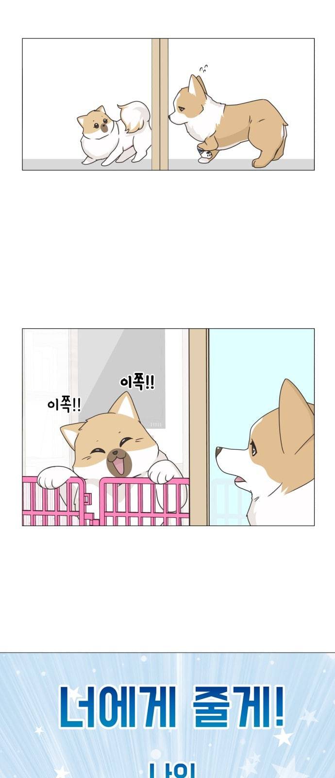 개를 낳았다 시즌2 11화 8
