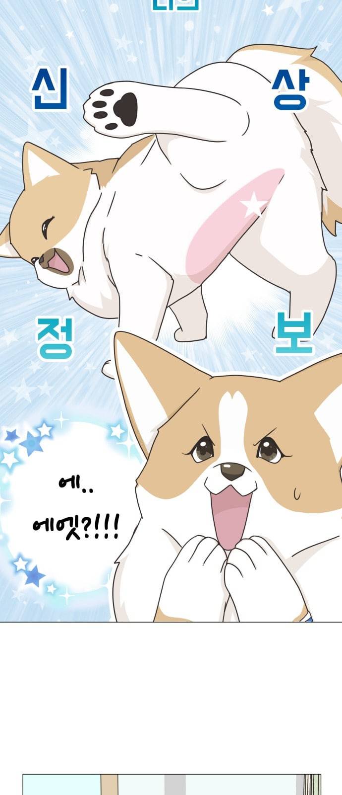 개를 낳았다 시즌2 11화 9