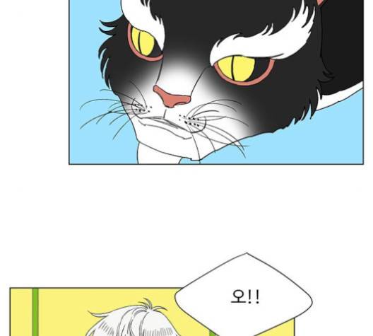 백호랑 18화 8