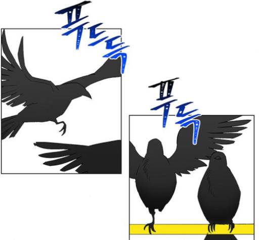 백호랑 18화 11