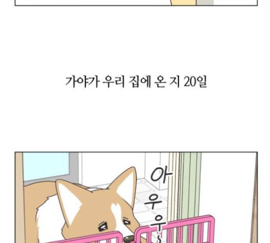 개를 낳았다 시즌2 17화 2