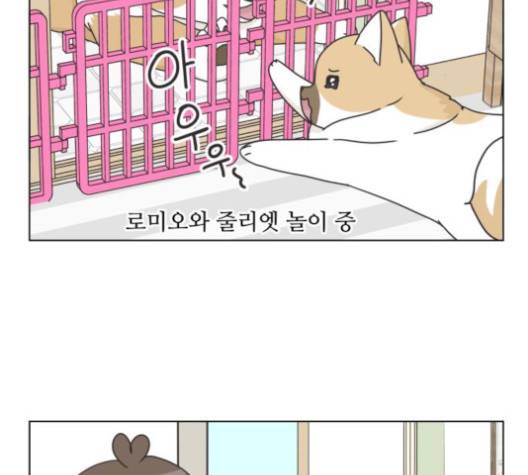개를 낳았다 시즌2 17화 3
