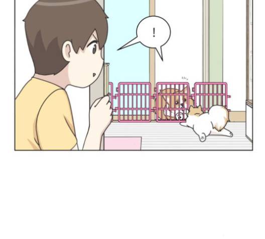개를 낳았다 시즌2 17화 4