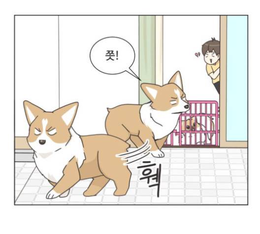 개를 낳았다 시즌2 17화 5