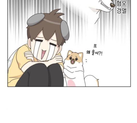 개를 낳았다 시즌2 17화 7
