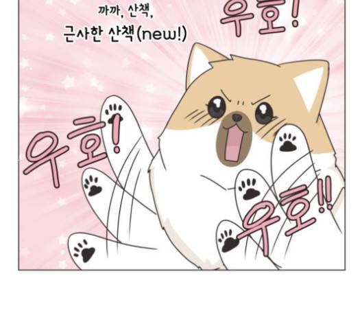 개를 낳았다 시즌2 17화 10