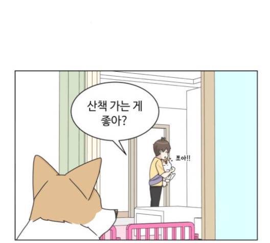 개를 낳았다 시즌2 17화 11