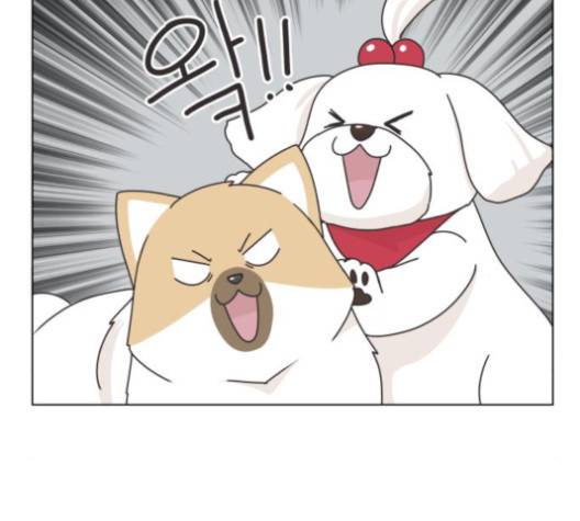 개를 낳았다 시즌2 17화 19