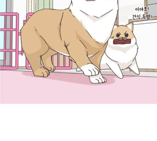 개를 낳았다 시즌2 18화 3