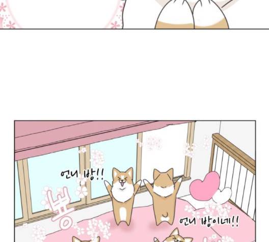 개를 낳았다 시즌2 18화 11