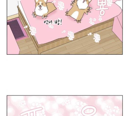 개를 낳았다 시즌2 18화 12