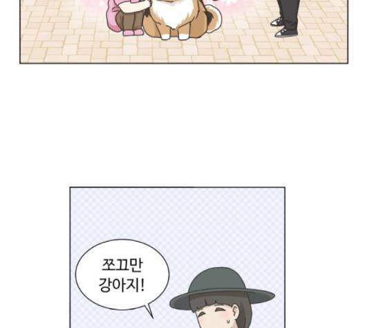 개를 낳았다 시즌2 18화 18