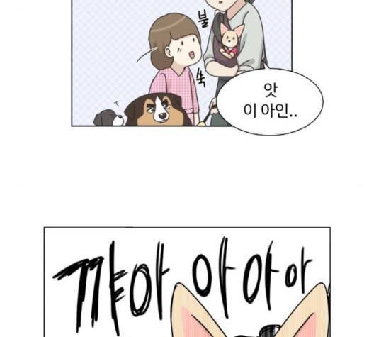 개를 낳았다 시즌2 18화 19