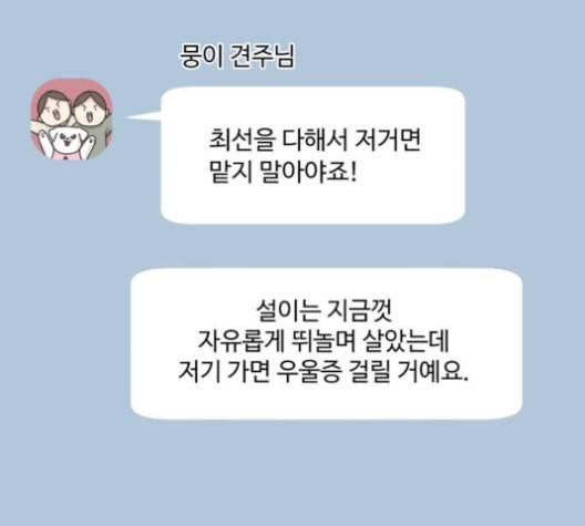 개를 낳았다 시즌2 22화 3