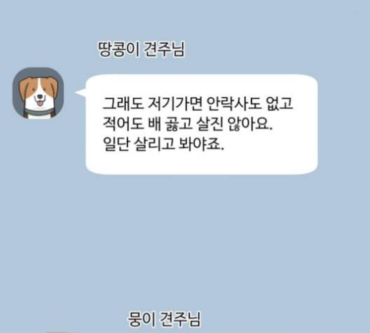 개를 낳았다 시즌2 22화 4