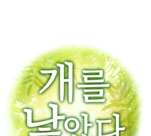 개를 낳았다 시즌2 22화 8