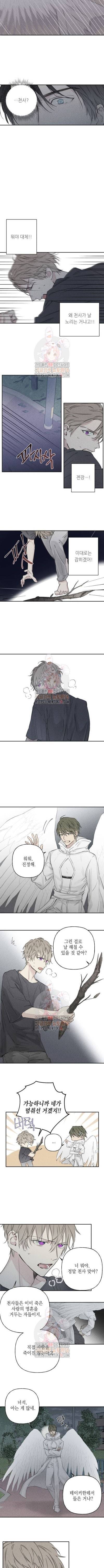 엔젤 버디 5화 3