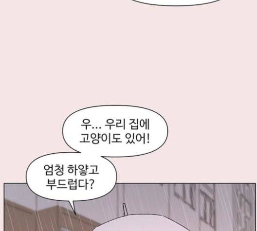 청춘 블라썸 19화 40