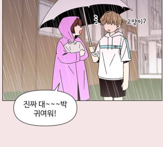 청춘 블라썸 19화 41