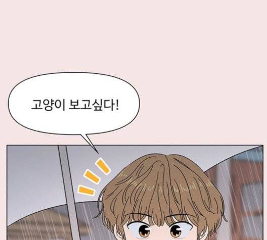 청춘 블라썸 19화 42