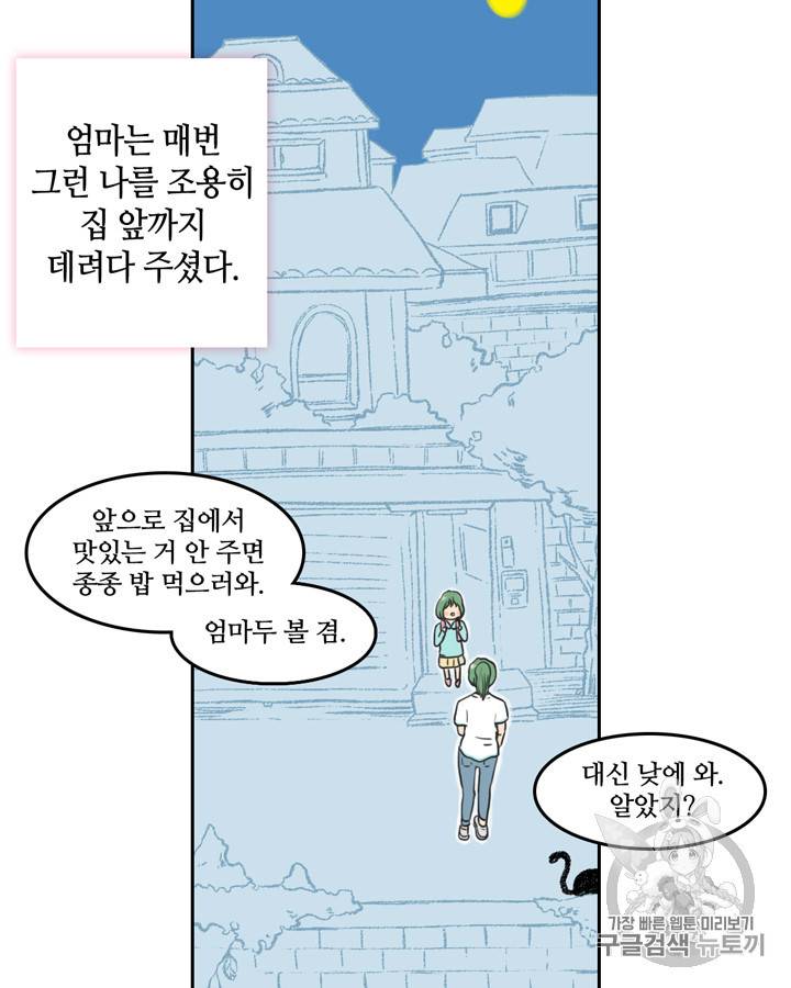 그림자 미녀 11~15화 46
