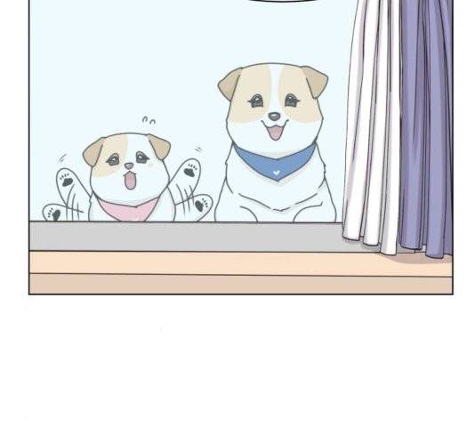 개를 낳았다 시즌2 25화 2