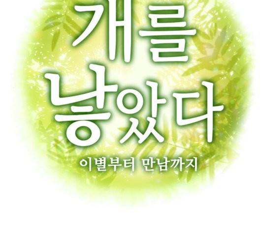 개를 낳았다 시즌2 25화 6