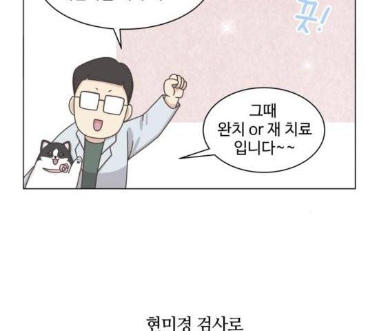 개를 낳았다 시즌2 25화 8