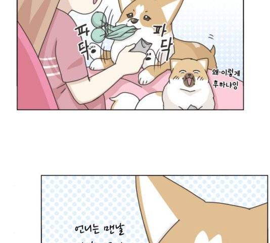 개를 낳았다 시즌2 25화 13