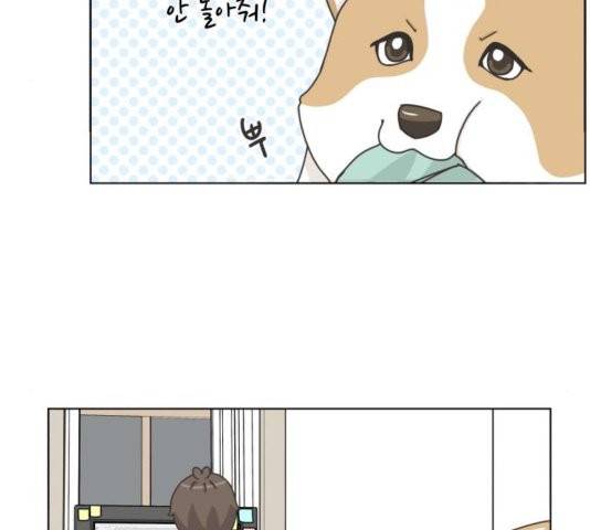 개를 낳았다 시즌2 25화 14