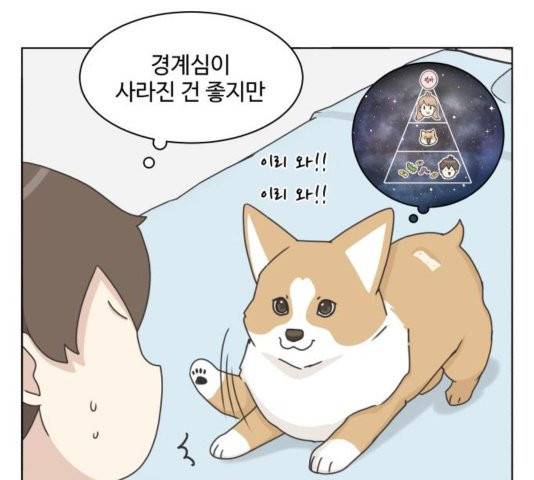 개를 낳았다 시즌2 25화 20
