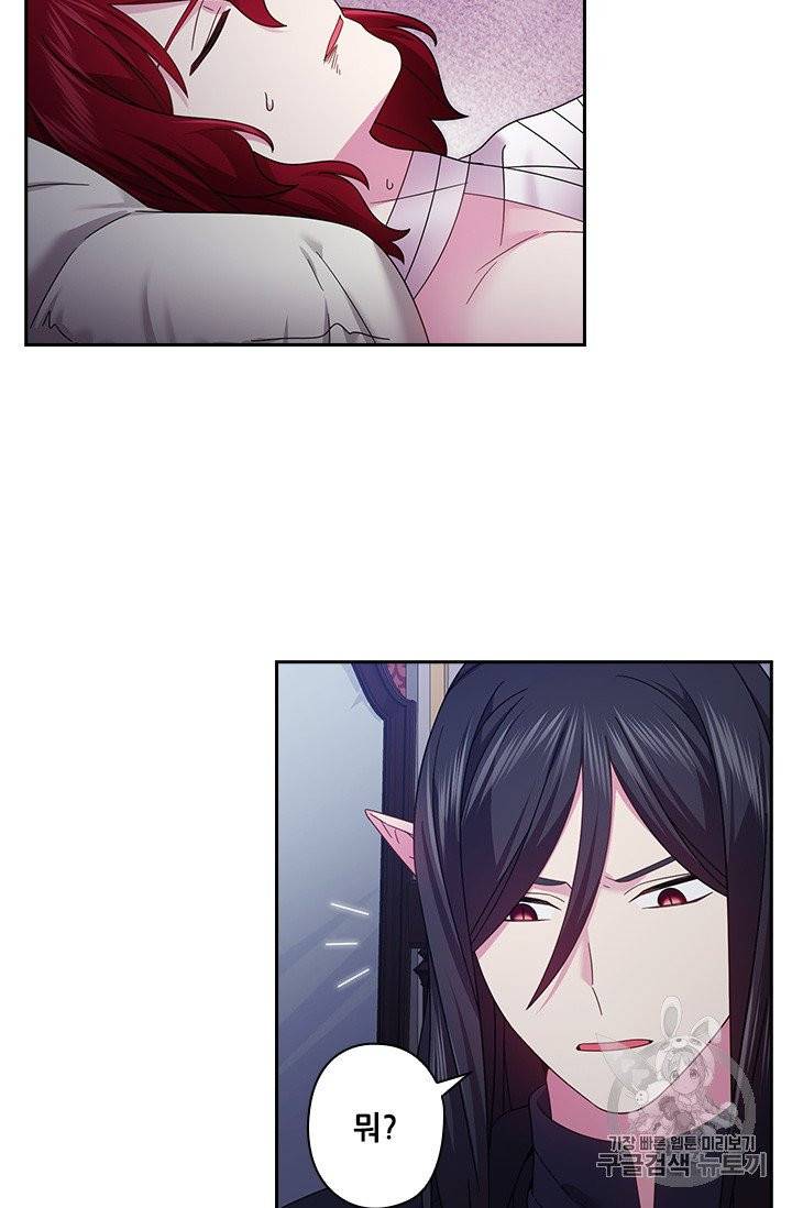 왕의 공녀 141화 27
