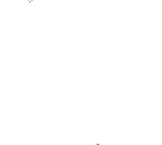 연놈 249화 14