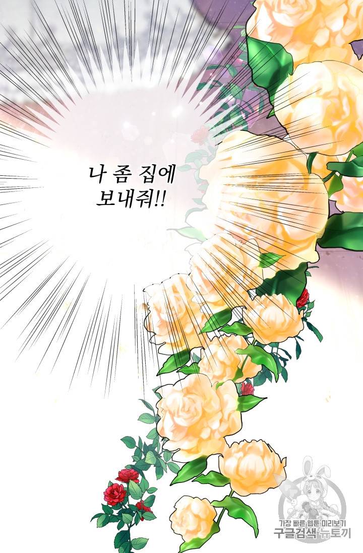 기간한정 공주님 17화 13