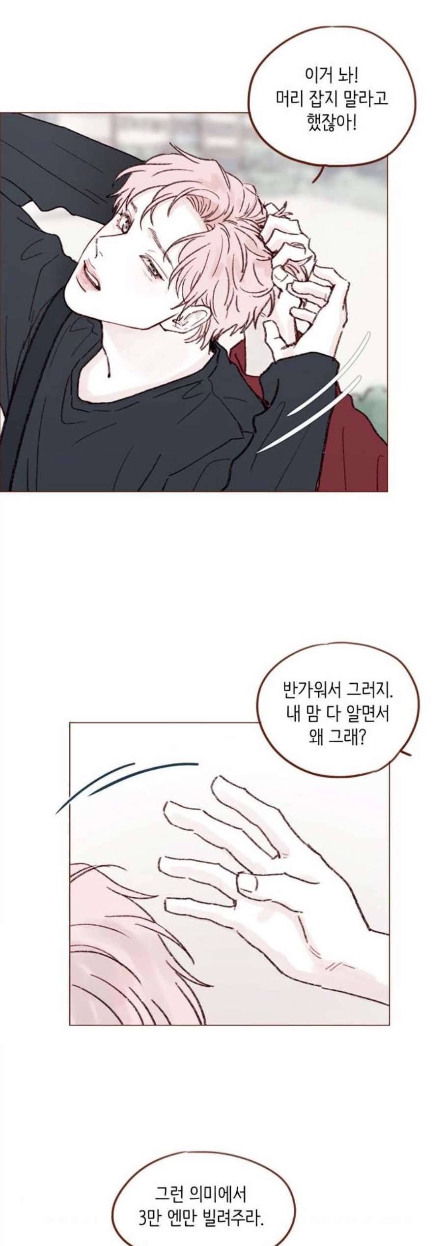 홍시는 날 좋아해 143화 20