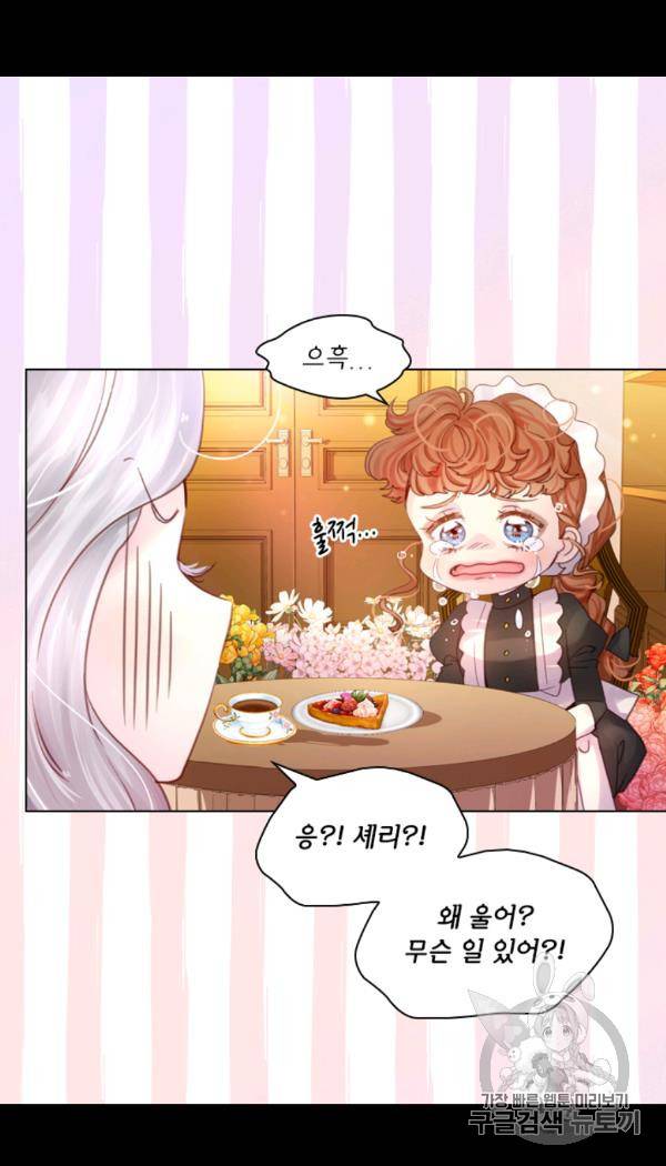 레이디 생존의 법칙 25화 12