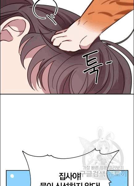 접경지역의 동물병원 7화 5