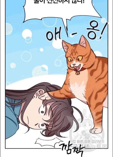 접경지역의 동물병원 7화 6