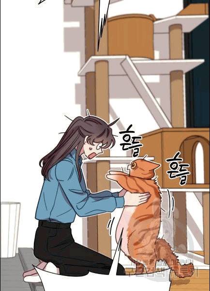 접경지역의 동물병원 7화 9