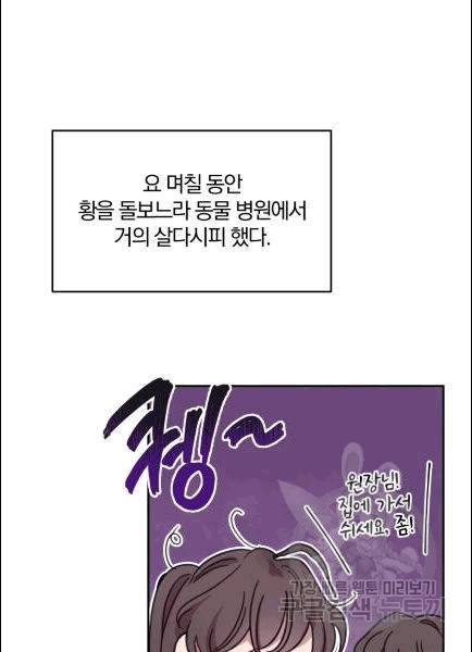 접경지역의 동물병원 7화 12