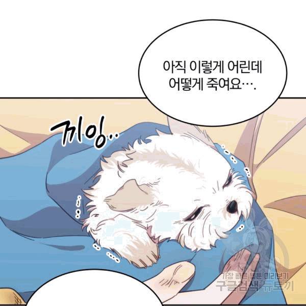 접경지역의 동물병원 19화 13