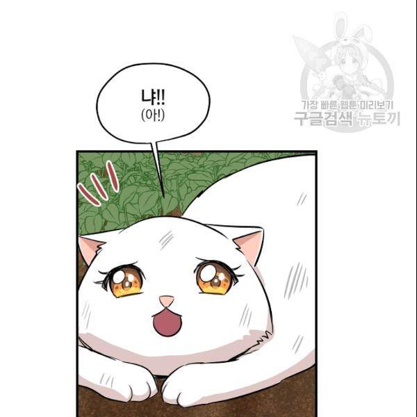 묘한 인생 44화 11