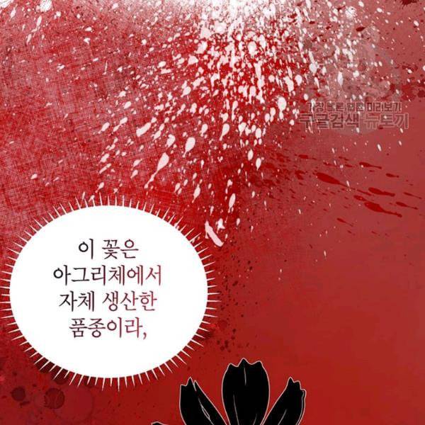 록사나 : 여주인공의 오빠를 지키는 방법 20화 16