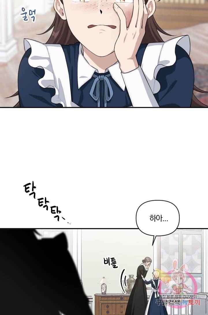 TL 소설 속 시녀가 되었습니다 42화 29