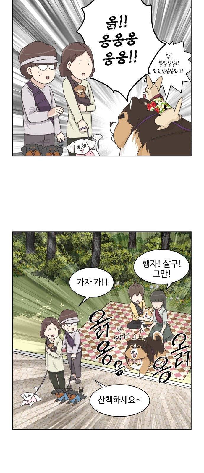 개를 낳았다 시즌2 40화 5