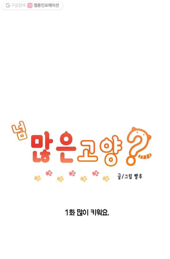 넘 많은 고양! 002화 1