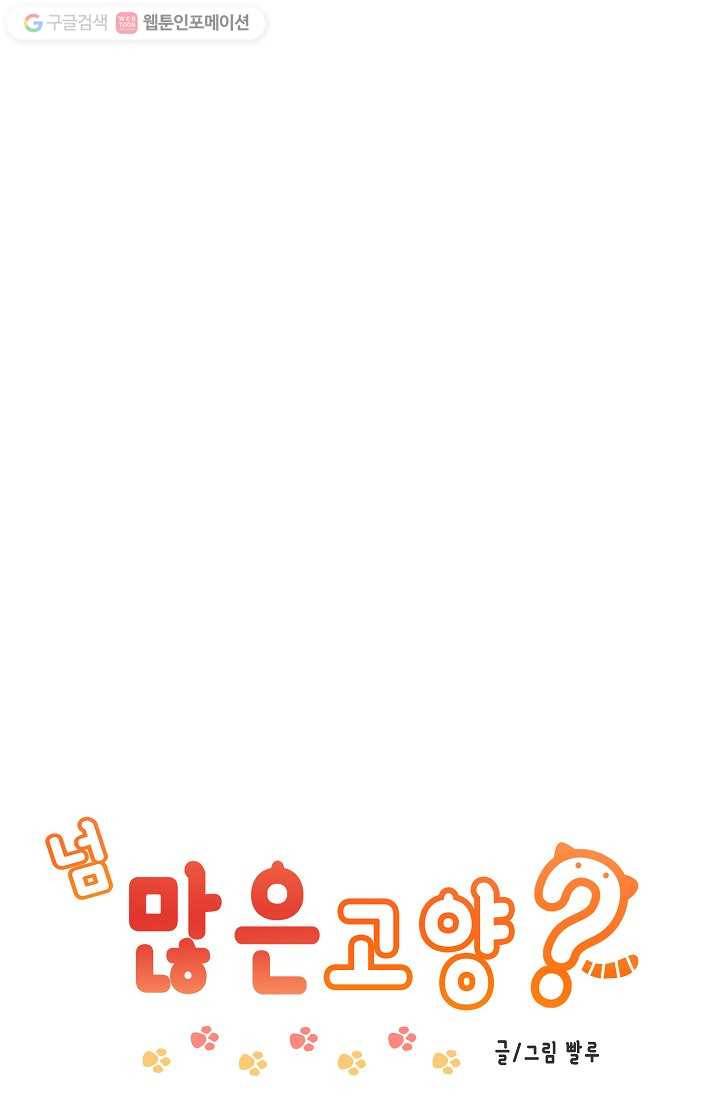 넘 많은 고양! 014화 1